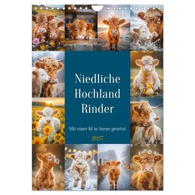 Niedliche Hochland Rinder (Wandkalender 2027 DIN A4 hoch), CALVENDO Monatskalender