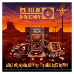 Def Jam Recordings, Schallplatten, What You Gonna Do When The Grid Goes Down (Vinyl) (Public Enemy)