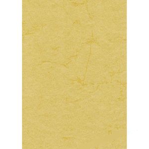 Römerturm Briefpapier 88001580, chamois, A4, Elefantenhaut, 190 g/m², 50 Blatt