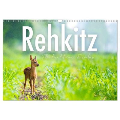 Rehkitz - Flinke kleine Bambis. (Wandkalender 2027 DIN A3 quer), CALVENDO Monatskalender