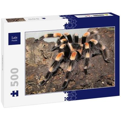 Lais Puzzle Vogelspinne 500 Teile