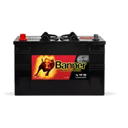 12V 110Ah 800A Banner Buffalo Bull 61048 HD LKW Batterie