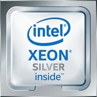 Xeon Silver 4216, Prozessor Tray-Version