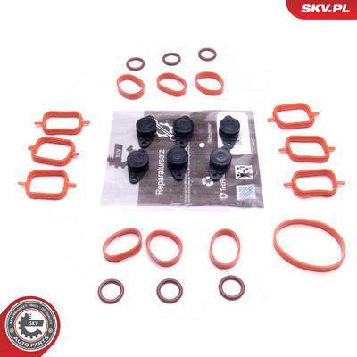ESEN SKV Reparatursatz, Saugrohrmodul 49SKV567