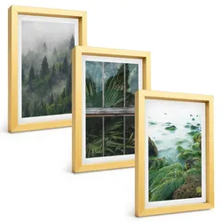 BILDER SET 3er Set - 20x30 cm Goldrahmen - Waldnebel, Flussufer, Gewächshaus