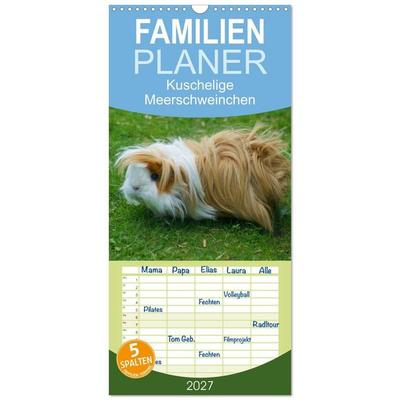 Familienplaner 2027 - Kuschelige Meerschweinchen mit 5 Spalten (Wandkalender, 21 x 45 cm) CALVENDO