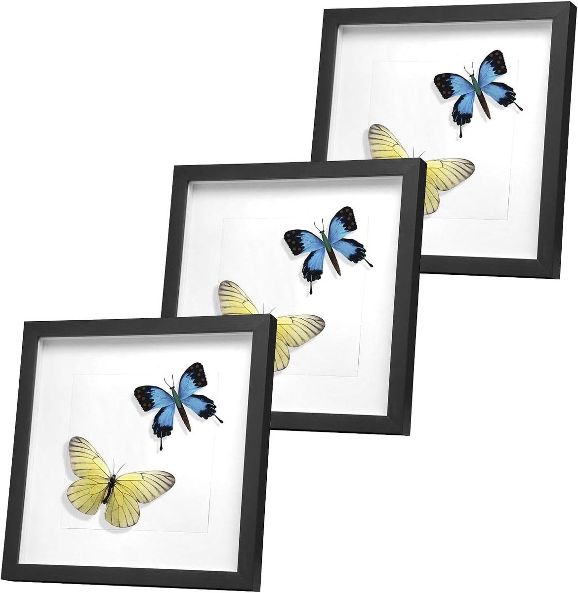 Set van 3D fotolijsten voor objecten in zwart, 30x30 cm