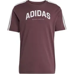 ADIDAS Herren Shirt Codes Collegiate Linear Graphic, Größe XL in Braun Braun