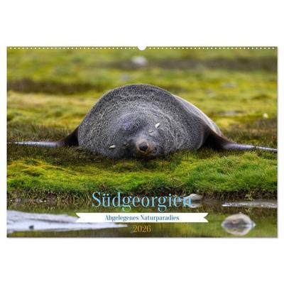 Südgeorgien - Abgelegenes Naturparadies (Wandkalender 2026 DIN A2 quer), CALVENDO Monatskalender