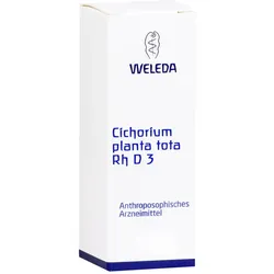 Cichorium Rh D3