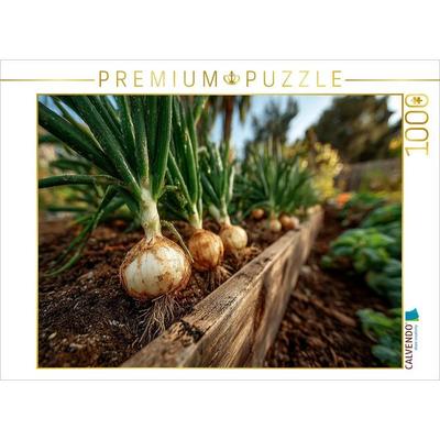 CALVENDO Puzzle Frische Zwiebeln wachsen im Gartenbeet | 1000 Teile Lege-Größe 64x48cm Foto-Puzzle für glückliche Stunden