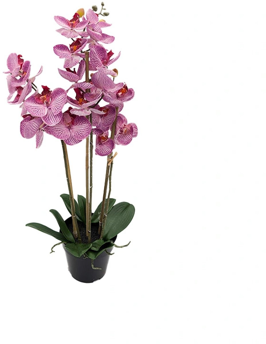 Kunst Phalaenopsis Orchidee in Pot Tiger Cerise - 3 stuks - 60 cm