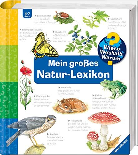 Sandra Noa - Mein großes Natur-Lexikon (Wieso? Weshalb? Warum? Sonderband) - Preis vom 01.10.2026 17:08:56 h