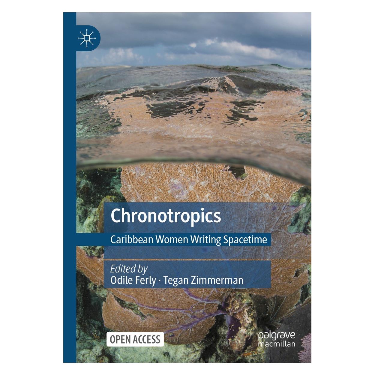Springer Chronotropics (Englisch, Hardcover, Odile Ferly, Tegan Zimmerman) (9783031321108)