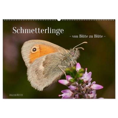 Schmetterlinge - von Blüte zu Blüte - (Wandkalender 2026 DIN A2 quer), CALVENDO Monatskalender