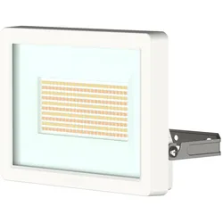 Theben LED-Strahler 50 W theLeda B50 dual WH