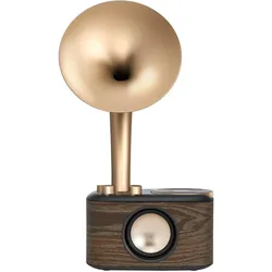 Sangean WR-45X Gold Radio VHF (FM) AUX, Bluetooth Oplaadbaar Zwart, Goud (FM, Bluetooth), Radio, Gold, Schwarz