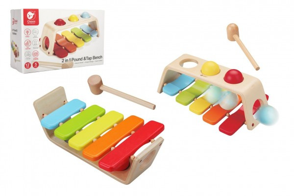 Classic World Przybijanka 2-in-1 xylofoon voor kinderen