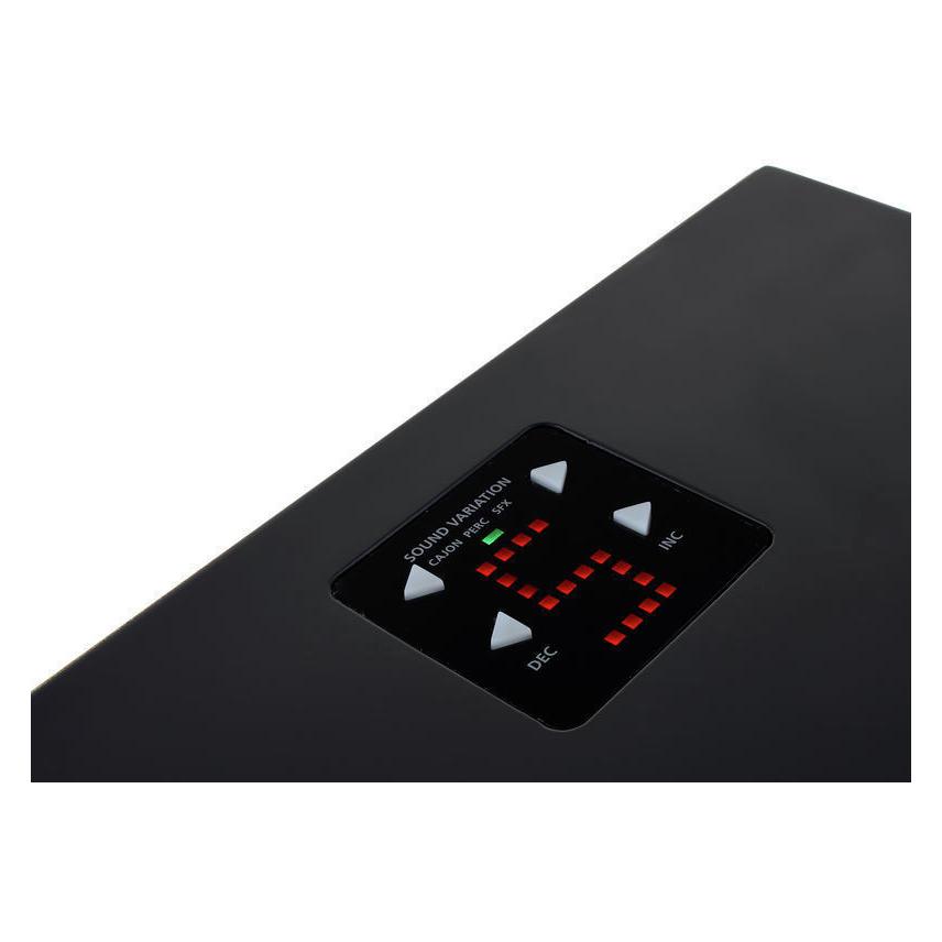 Roland EC-10 EL Cajon (Cajon) (416551)