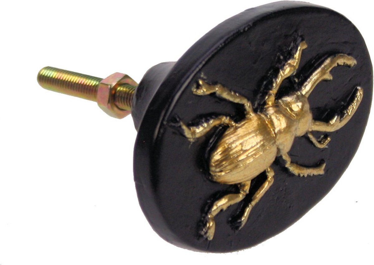 MEA Deurknop Insect ovaal zwart/goudkleur B: 4 cm, D: 6 cm, H: 5,5 cm