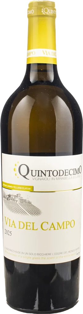 Quintodecimo Irpinia Falanghina Via del Campo 2025
