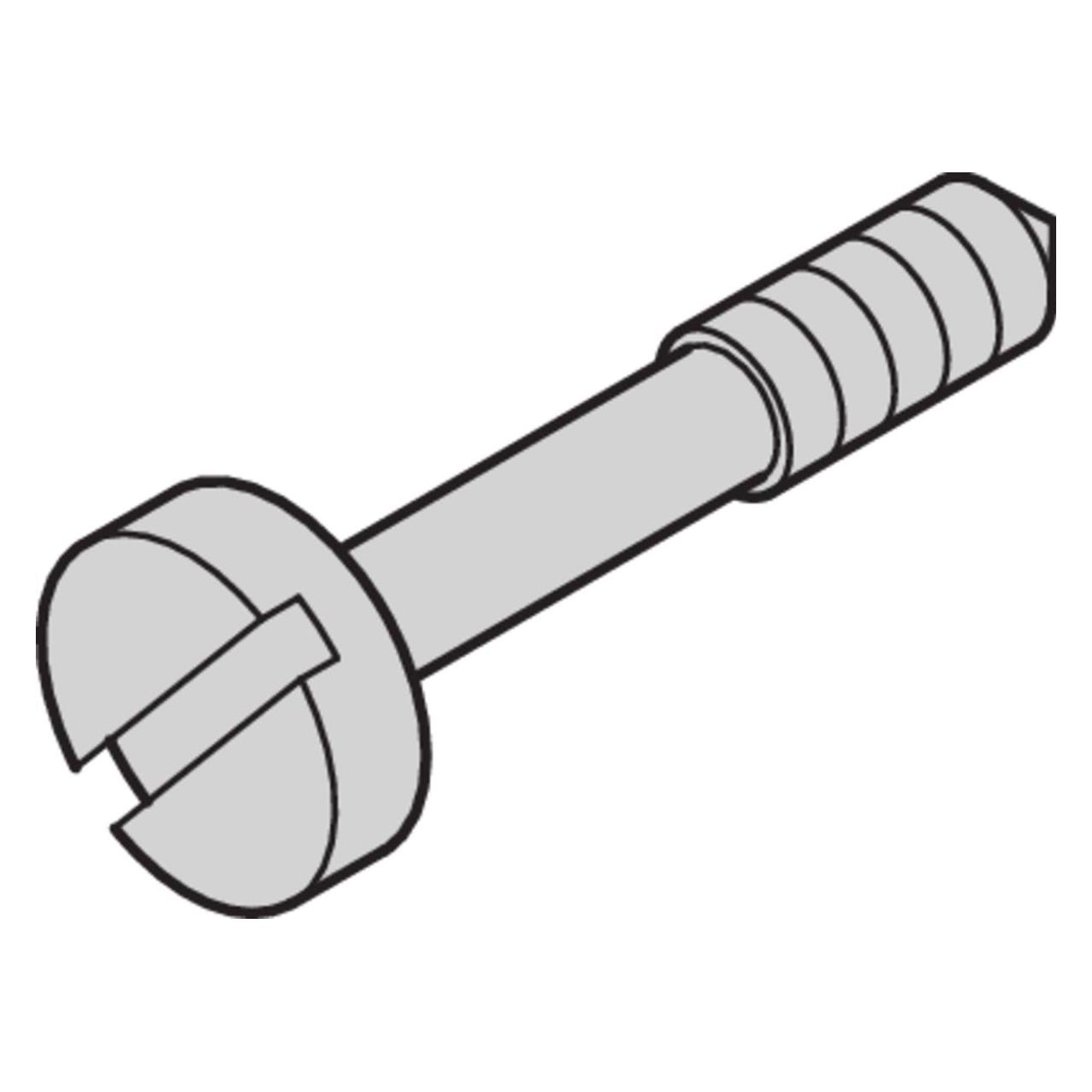 Schroff HALSSCHRAUBE M2,5X11 100STK (21100379)