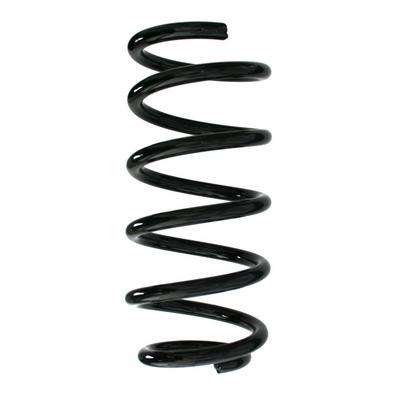 SPIDAN Fahrwerksfeder 87211 Hinterachse für BMW