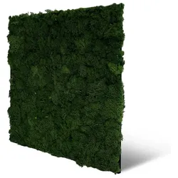 Wandpaneel Jangal Modular Wall 11103 Dark Green Moos 52 x 52 cm
