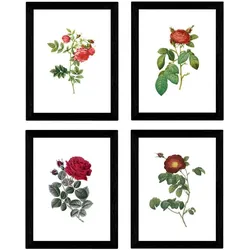 POSTER Set mit 4 Botanischen Stils Rosenkranz Weiß A3 Rahmenlos