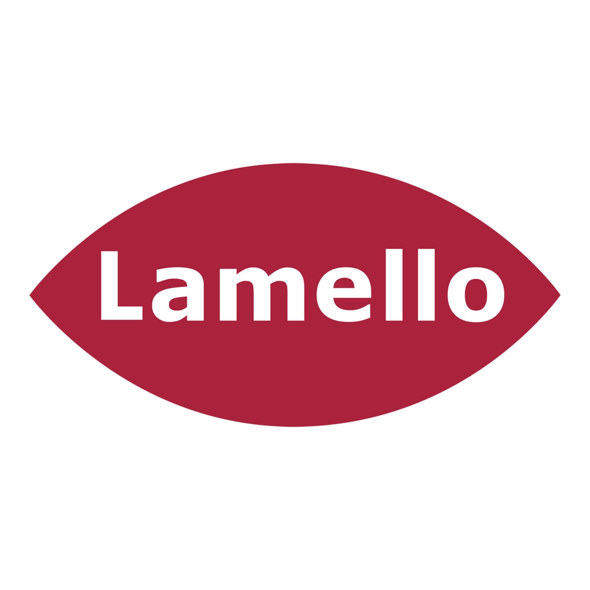 Lamello Handgriff rechts mit Schalter für Cantex (251848)