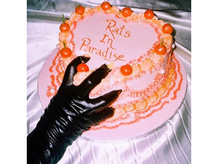 Rats In Paradise