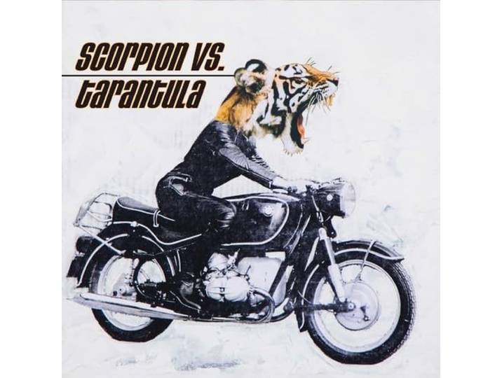 Scorpion Vs Tarantula (10 )