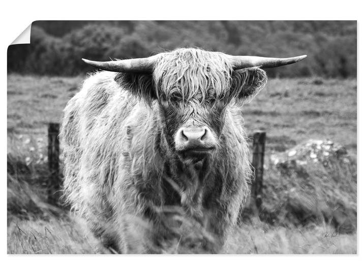 Wandbild ARTLAND Happy Highland , farbe bild(er): schwarz, B:90cm H:60cm, Papier, Bilder, Wandbild, als Alubild, Leinwandbild, Poster, Wandaufkleber in verschied. Grössen