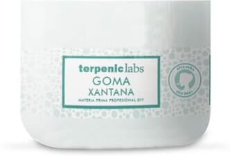 Terpenic Goma Xantana Espessante 550g