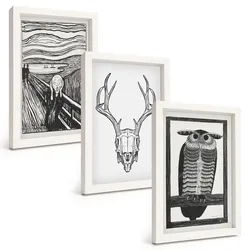 BILDER SET 3er Set - 20x30 cm Weißer Rahmen - Grafiken mit schreiendem Totenkopf-Eulen