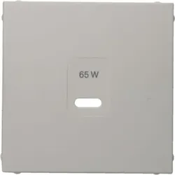 Berker Zentralstück für USB-C PD Power Modul, polarweiß glänzend
