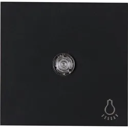 Kopp 490447002 HK07 - Flächenwippe mit Linse und Symbol ”Licht”, Farbe: schwarz matt