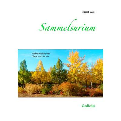 Sammelsurium, Taschenbuch von Ernst Woll, BoD – Books on Demand, 978-3-7412-5287-7