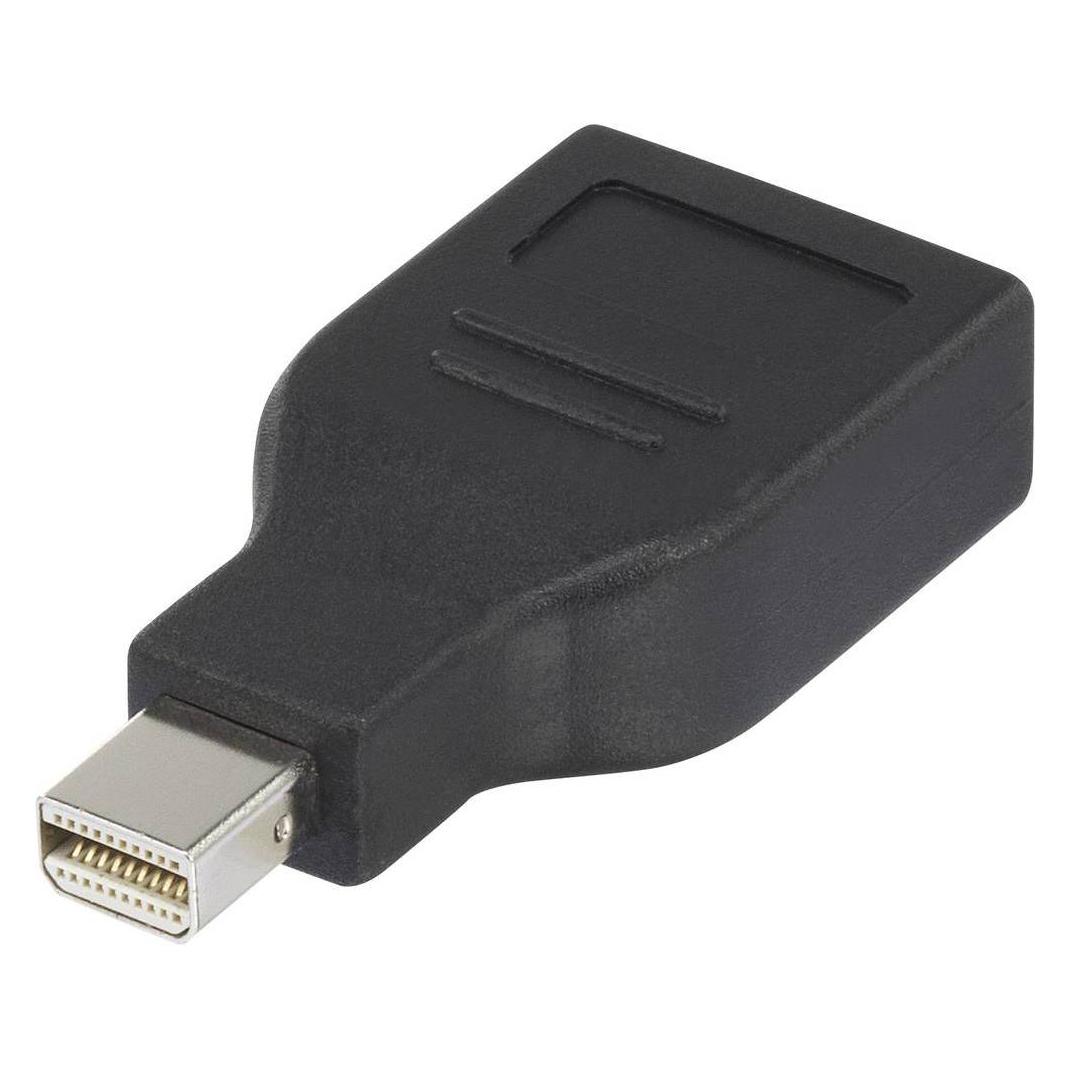 Renkforce Mini DisplayPort zu DisplayPort Adapter (1391524)