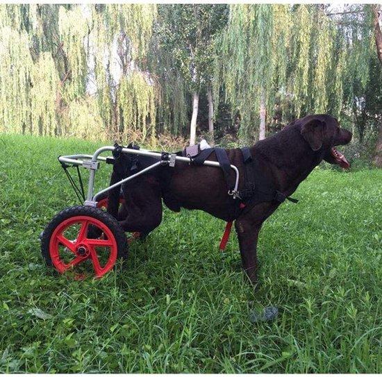 Haustierrollstuhl - für Hunde und Katzen - zur Verbesserung der Mobilität - verstellbar, leicht - Länge 51-75 cm - Silber
