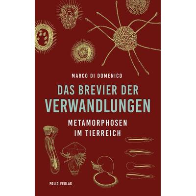 Das Brevier der Verwandlungen, Gebundene Ausgabe von Marco Di Domenico, Folio, 978-3-85256-880-5