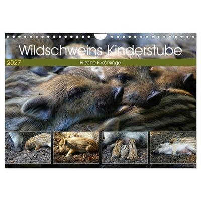 Wildschweins Kinderstube - Freche Frischlinge (Wandkalender 2027 DIN A4 quer), CALVENDO Monatskalender