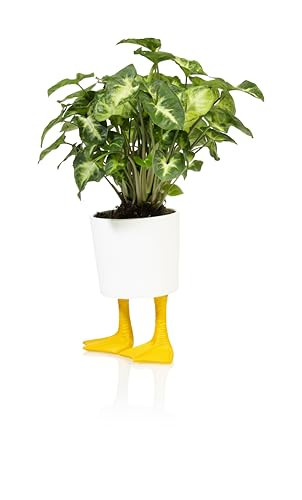Grote porseleinen plantenpot met eendenpoten