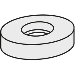 Pramet, Zubehör Maschine, Wendeplatten-Unterlegscheibe ISO RCU 250600:GJ11 Brutto-G.28,69g Farbe Silber - VPE: 10