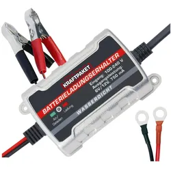 Dino, Autobatterie Ladegerät, Automatikladegerät (0.75 A, 12V, 6V)