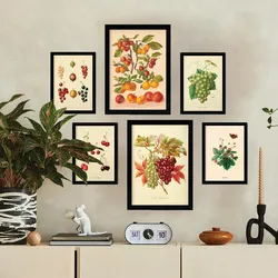 POSTER Set Mit 6 Beeren In Vintage A3 & A4 Schwarzer Rahmen