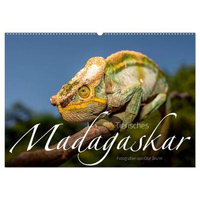 Tierisches Madagaskar (Wandkalender 2026 DIN A2 quer), CALVENDO Monatskalender
