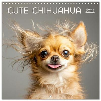 Cute Chihuahua (Wall Calendar 2027 12 × 12 Inch) CALVENDO 12 Month Wall Calendar