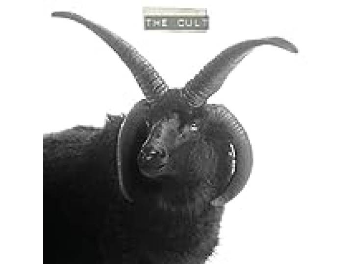 The Cult
