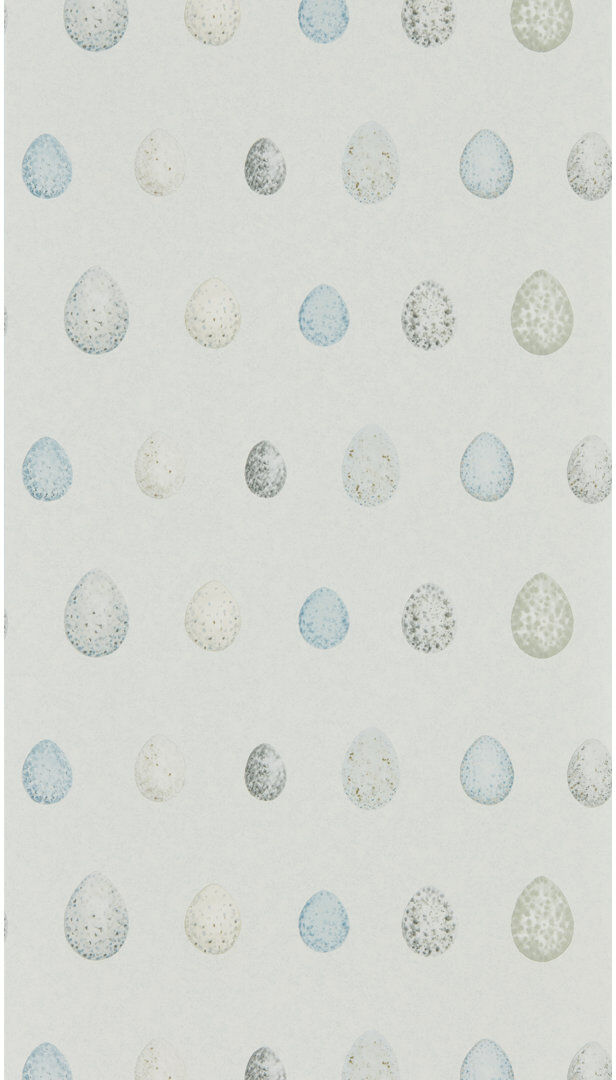 Sanderson Nest Egg 10.05m x 52cm Matte Wallpaper Roll Blue